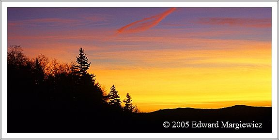 660110   Just before sunrise along Newfound Gap Road